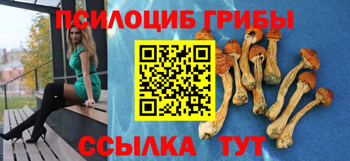 Псилоцибиновые грибы Psilocybine cubensis Крымск