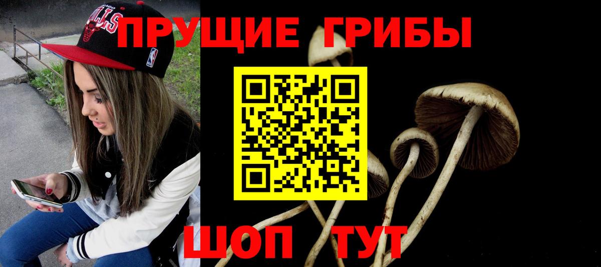Псилоцибиновые грибы Cubensis  Вход с VPN  Крымск 
